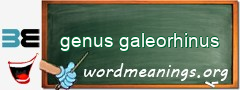 WordMeaning blackboard for genus galeorhinus